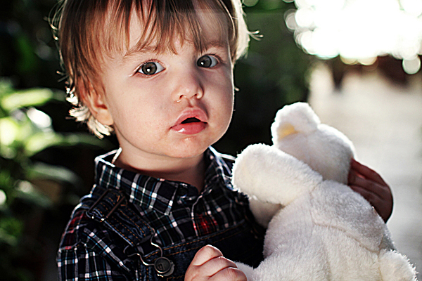 Franz and his teddy