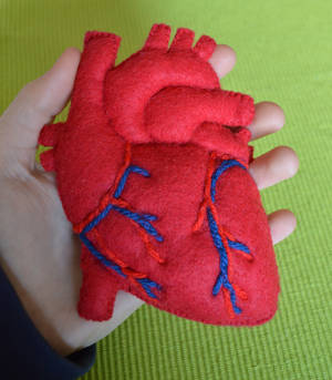 Anatomical Plush Heart