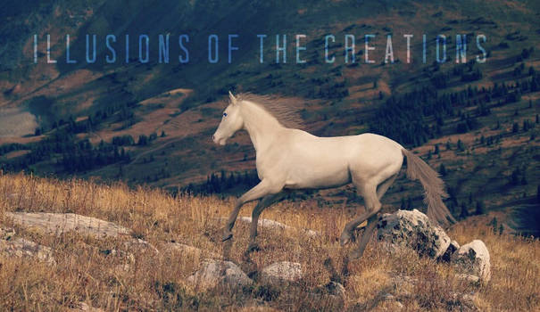 :: ILLUSIONS OF THE CREATIONS ::