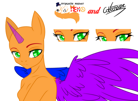 Kat Base(MLP):~*^*~229~*^*~