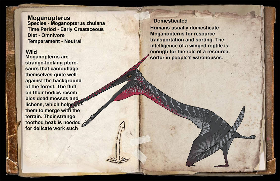 Moganopterus Moganopterus Dossier by Egorlip1897 on DeviantArt
