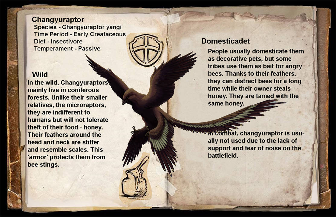 Changu Raptor Changyuraptor Dossier by Egorlip1897 on DeviantArt