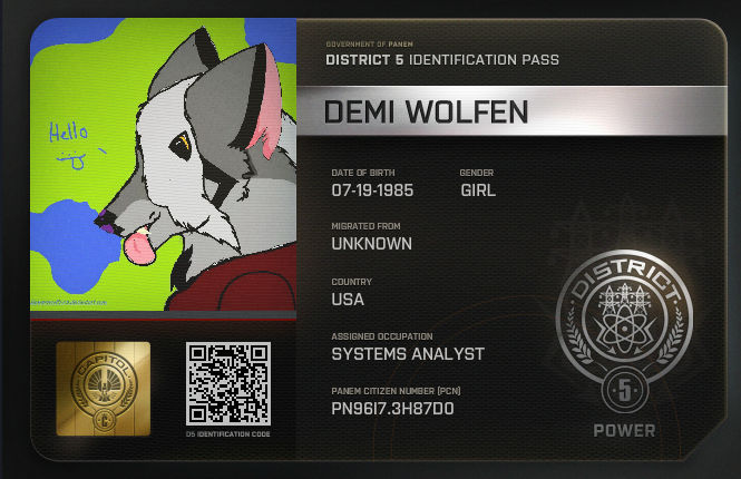 Deviantart Panem My Panem ID by Kiawerewolf123 on DeviantArt