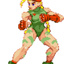 Cammy