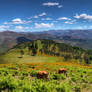 Peneda-Geres National Park II