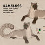 Ref sheet of Nameless