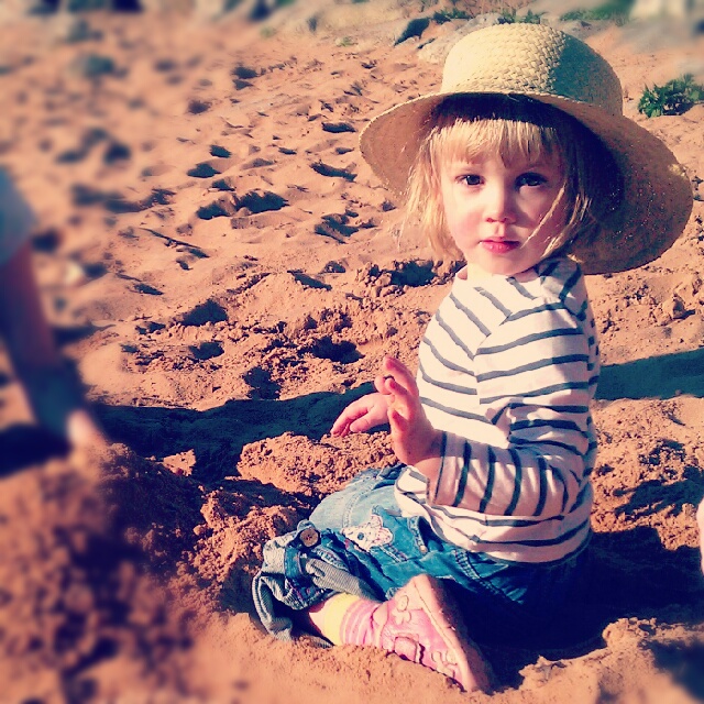 Daisy In The Sand