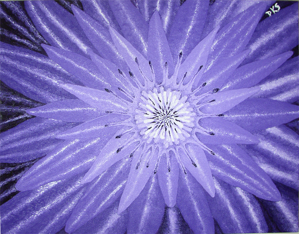 Purple Lotus by dksartwork