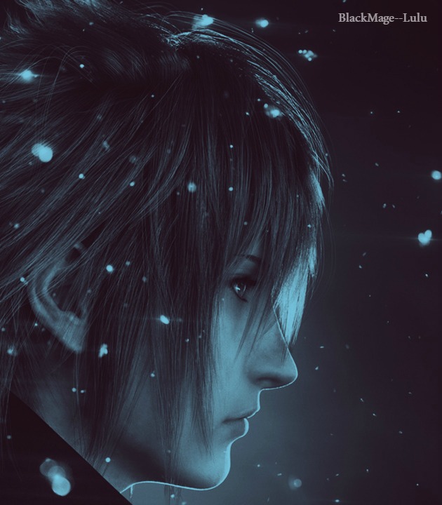 Noctis Lucis Caelum