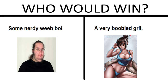 Nerd vs Waifu