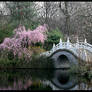 The chinese garden