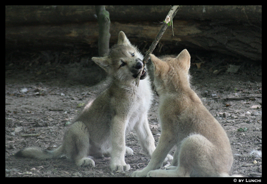 My stick not yours