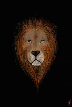 lion colour