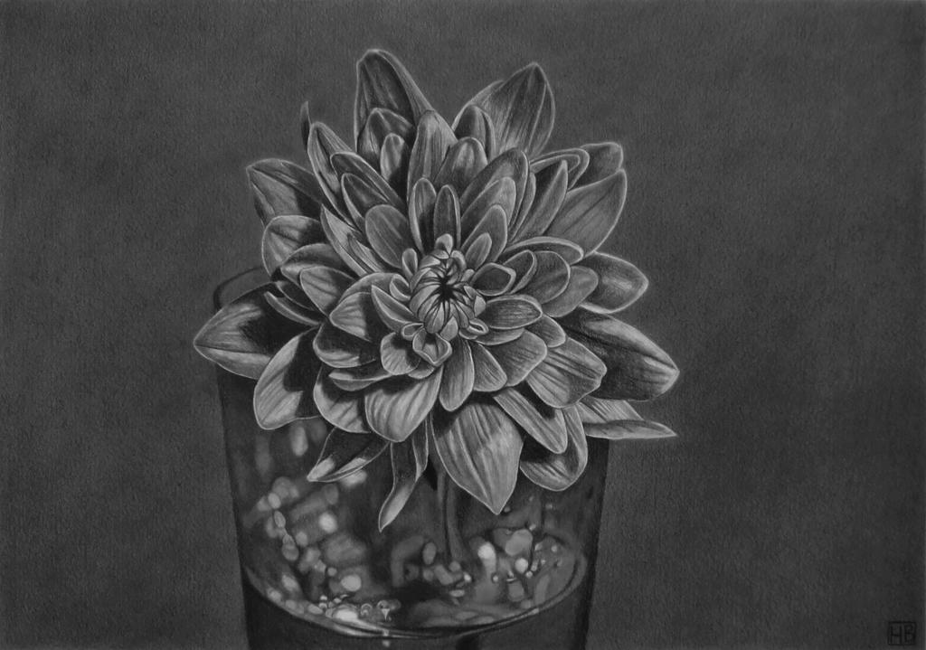 How to Draw Glass Using White Charcoal on Black Paper