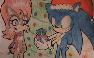 sally and sonic : Christmas