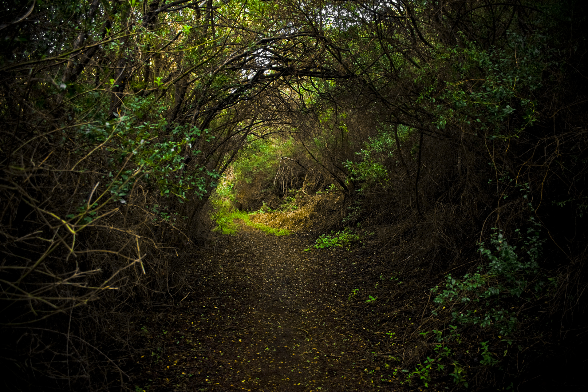 Portal into spring