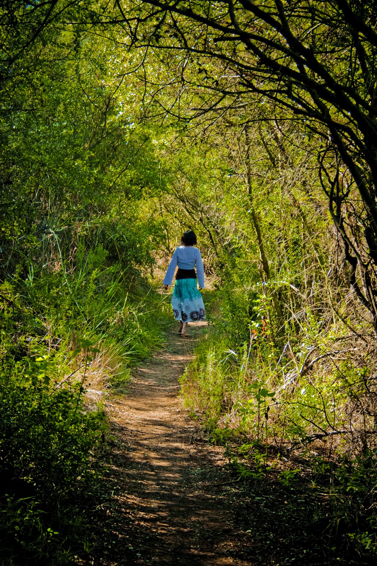 Spring walk