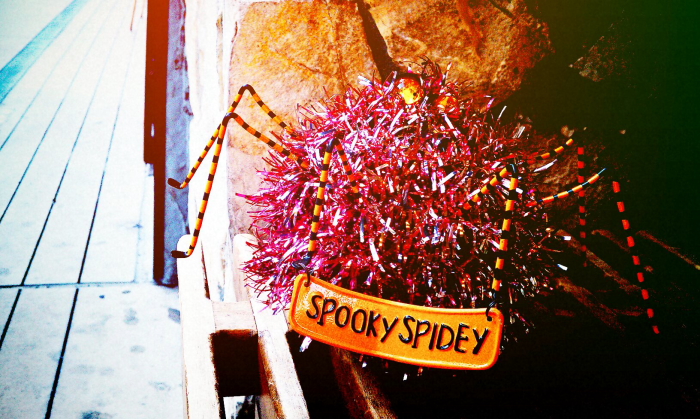 Spooky Spider