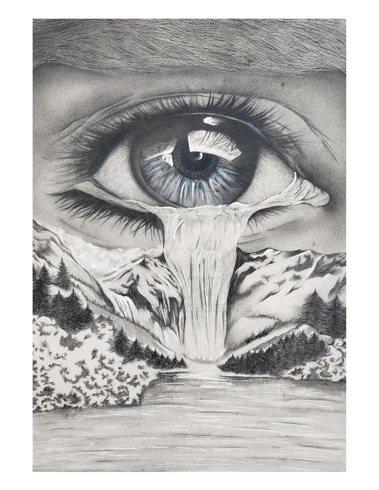 Window to the soul