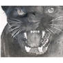 Panther