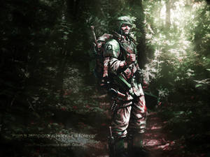 Imperial Guard Forest