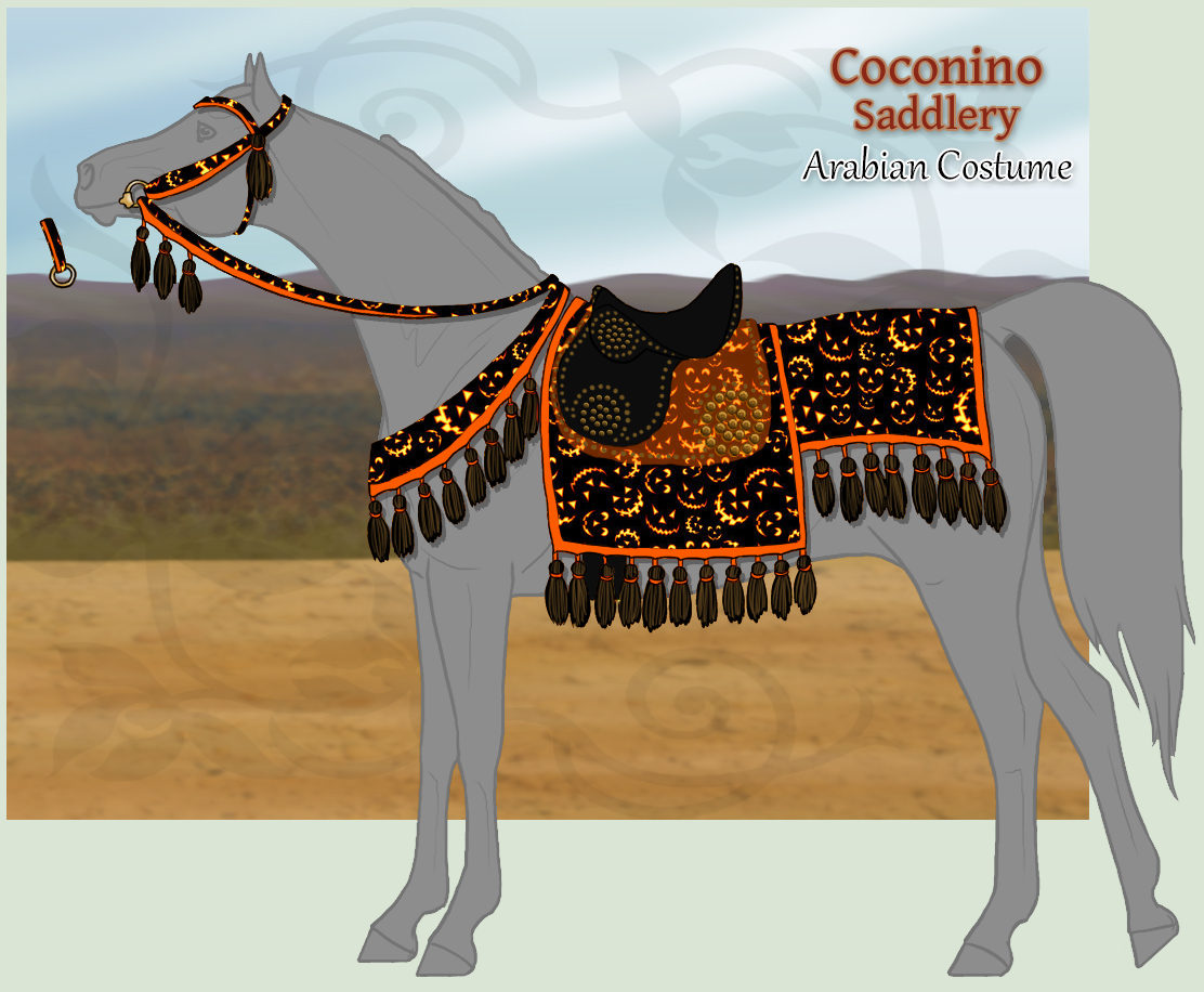 Halloween Arabian Costume - FOR SALE