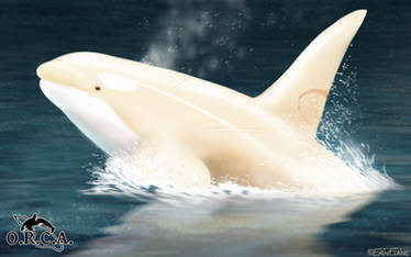 Tundra, the White Whale