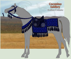 Midnight Blue Arabian Costume - ON HOLD