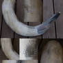 Ritual Drinking Horn Part 1