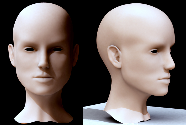 Head model by truckless