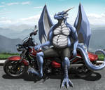 Chaosreign by Khyaber