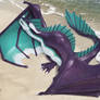 Seaside Grooming