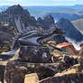 Cradle mountain