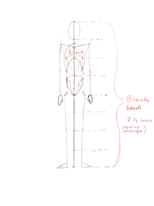 Basic Drawing Figure Anatomy by dimitrisax on DeviantArt