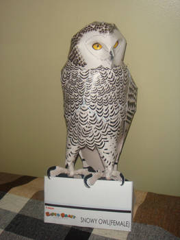 Snow owl papercraft