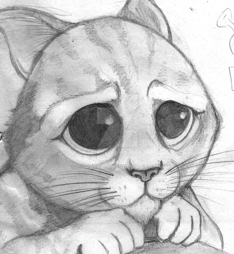GATO CON BOTAS SHREK 2 by CAVAFERDI on DeviantArt GATO CON BOTAS SHREK 2 by CAVAFERDI on DeviantArt