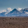 Iceland - highland