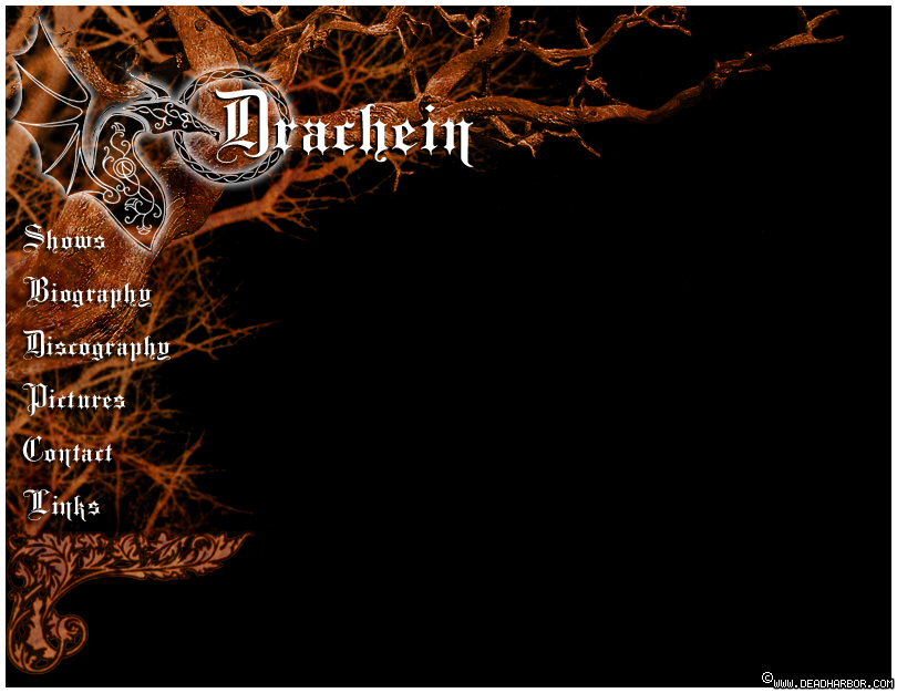 Website design for Drachein