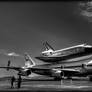 Endeavour Black n White 01