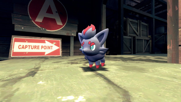 Zorua Jump Test