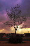 Suburban Sunset by erene