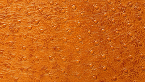 Leather Texture 004