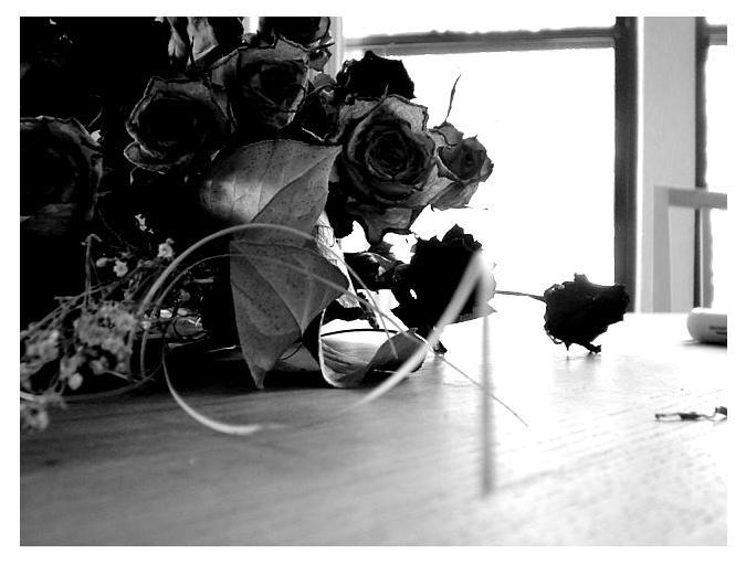 Dead Roses by Quixrotic on DeviantArt