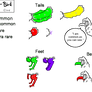 Moli-Bird Species sheet