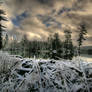 Snowy Beaver Pond HDR