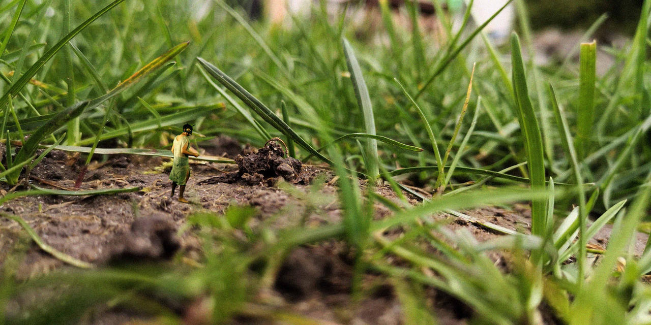 Bug Scene The Bug - Garden Scene by GekkoArt on DeviantArt