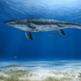 New North Carolina Mosasaurus beaugei by Carlos E