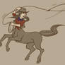 Lasso