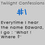 Twilight Confessions 1
