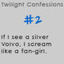 Twilight Confessions 2